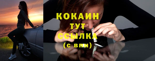 спиды Аркадак
