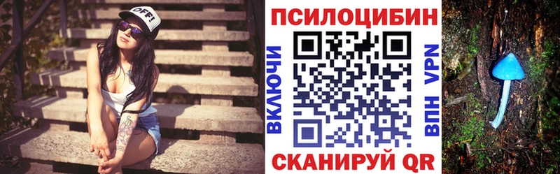 Галлюциногенные грибы Psilocybe  Городовиковск 
