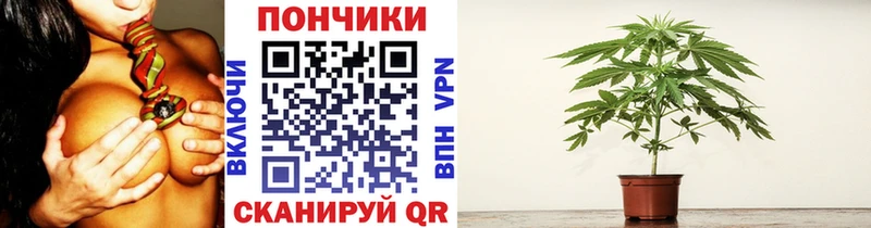 Каннабис ГИДРОПОН  blacksprut как зайти  Городовиковск 